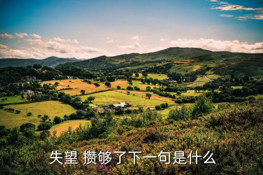 失望 攢夠了下一句是什么