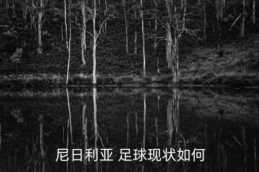 尼日利亞足球,非洲之鷹降臨尼日利亞身上