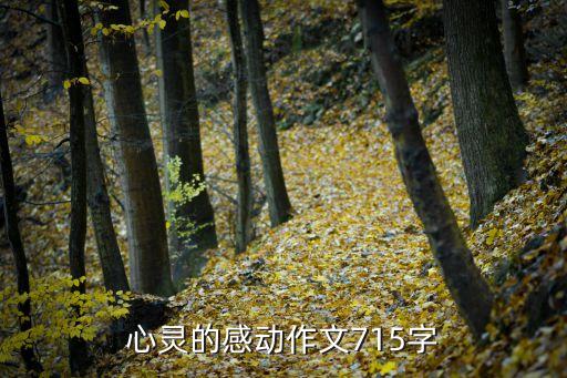 心靈的感動(dòng)作文715字