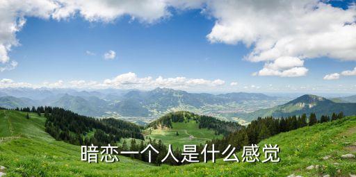  暗戀一個人是什么感覺