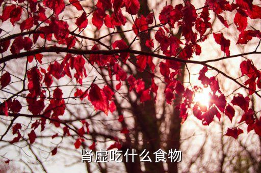 腎虛吃什么食物