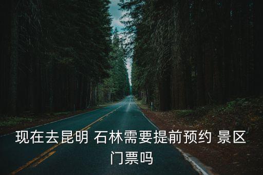 石林景區,云南石林正生態石林、肖,達石林景區