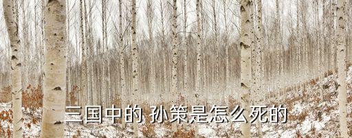 孫策之死,孫策遇刺的根本原因是與周瑜及其親家結(jié)盟