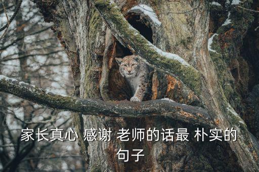 感謝老師最樸實(shí)的句子,一文讀懂!孩子的成長(zhǎng)歷程