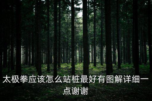 太極站樁，太極拳術中的站樁