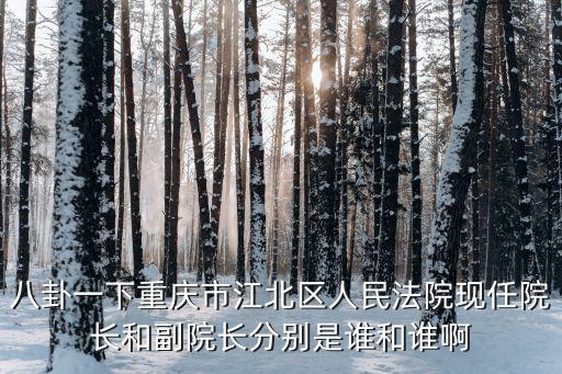 重慶市江北區人民法院副院長是誰，重慶市江北區組織部副部長部長是誰