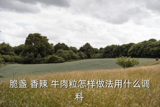 脆盞 香辣 牛肉粒怎樣做法用什么調料