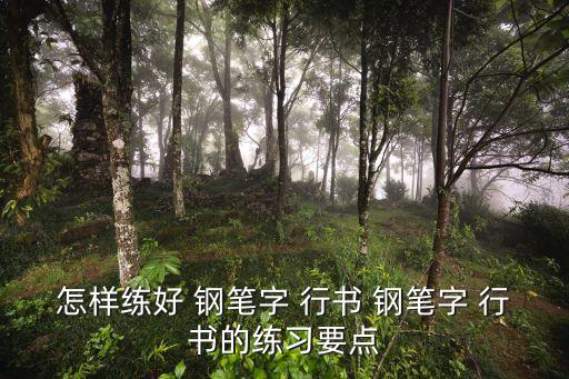 行書鋼筆字,鋼筆zi行書教你如何欣賞和學習!