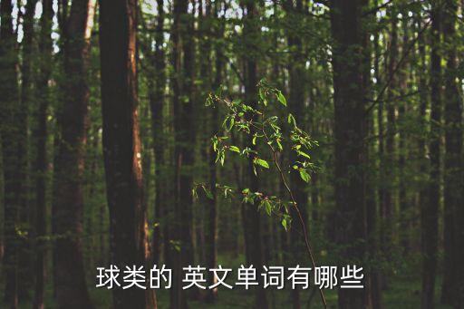 橄欖球英文,看看這張圖你就知道什么是英式足球了