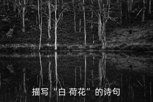 白荷花,《君子堂五首》第二遍荷花淡紫色象征高潔