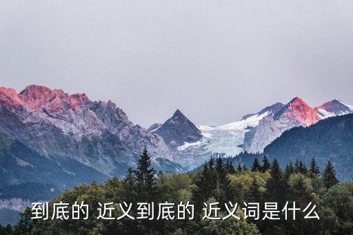 到底的 近義到底的 近義詞是什么