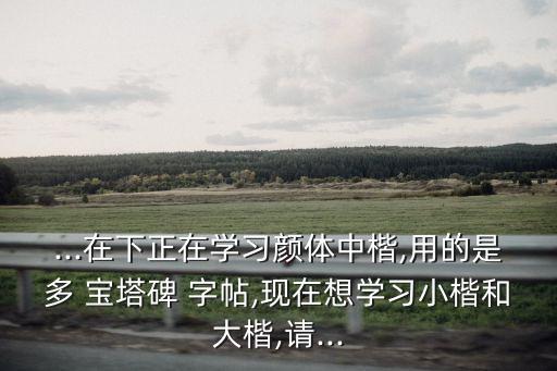 ...在下正在學習顏體中楷,用的是多 寶塔碑 字帖,現在想學習小楷和大楷,請...