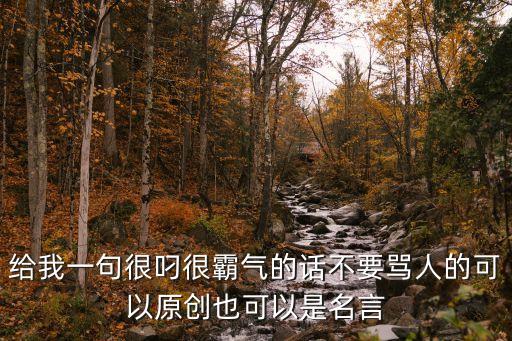 給我一句很叼很霸氣的話不要罵人的可以原創也可以是名言