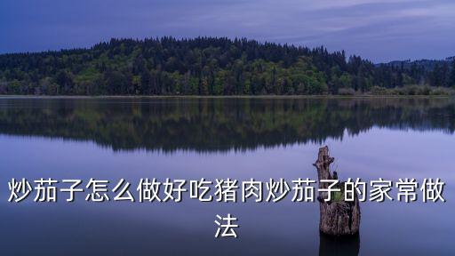 炒茄子怎么做好吃豬肉炒茄子的家常做法