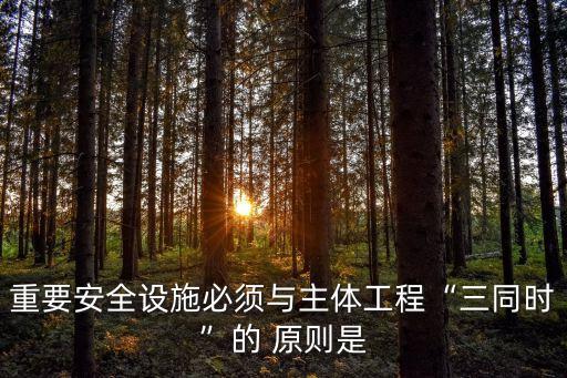 重要安全設施必須與主體工程“三同時”的 原則是