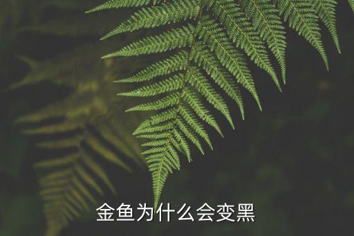 金魚為什么會變黑
