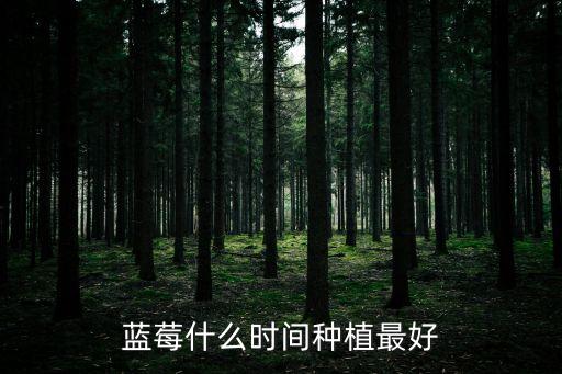 藍莓什么時間種植最好
