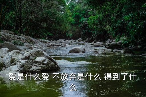 愛是什么愛 不放棄是什么 得到了什么
