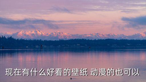 現在有什么好看的壁紙 動漫的也可以
