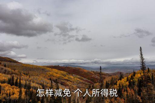 免征個(gè)人所得稅,手機(jī)上下載安裝個(gè)人所得稅app首頁(yè)