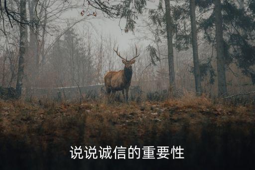 說說誠信的重要性