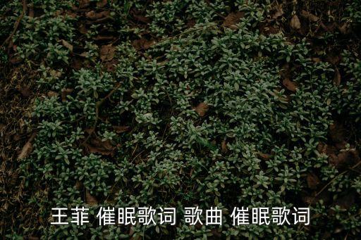 催眠歌曲,3.pop歌曲推薦舒緩或不特別激情的歌曲