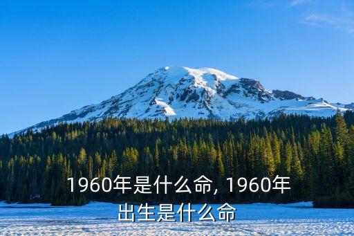 1960年屬什么,1960年是什么?