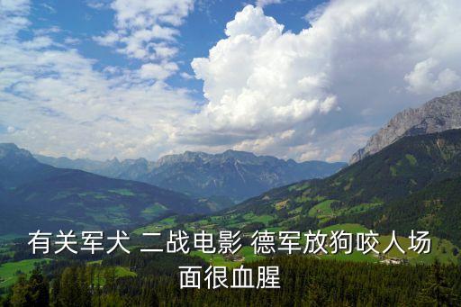 有關(guān)軍犬 二戰(zhàn)電影 德軍放狗咬人場(chǎng)面很血腥