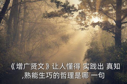 實踐出真知下一句