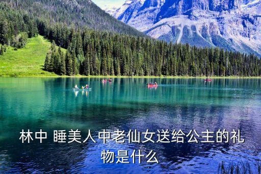 林中睡美人,睡美人，《格林童話》中的百年公主