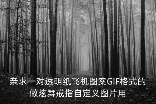 親求一對透明紙飛機圖案GIF格式的做炫舞戒指自定義圖片用