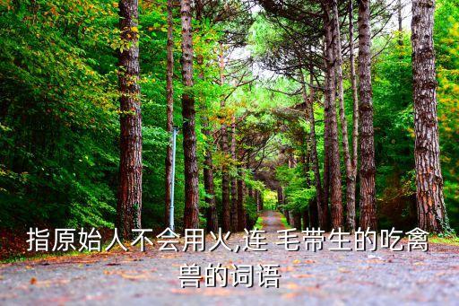指原始人不會用火,連 毛帶生的吃禽獸的詞語