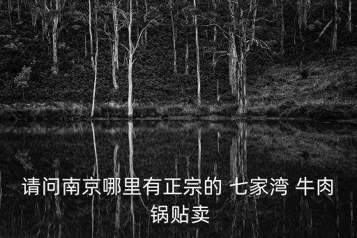 請問南京哪里有正宗的 七家灣 牛肉 鍋貼賣