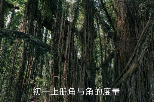 初一上冊角與角的度量