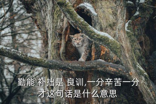 勤能補拙是良訓,勤能補拙是良訓