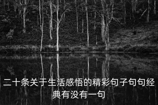 二十條關于生活感悟的精彩句子句句經典有沒有一句