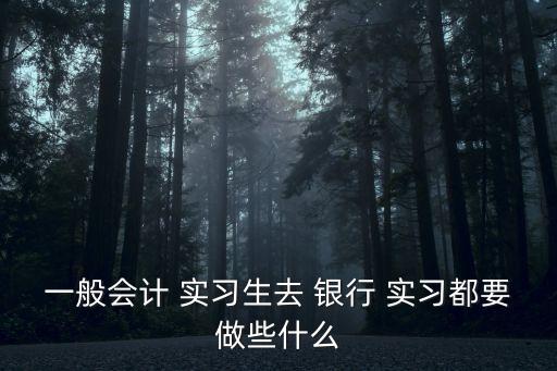 一般會(huì)計(jì) 實(shí)習(xí)生去 銀行 實(shí)習(xí)都要做些什么