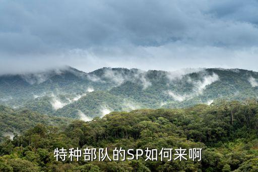 特種部隊的SP如何來啊