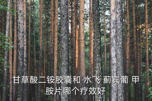 甘草酸二銨膠囊和 水飛 薊賓葡 甲胺片哪個(gè)療效好