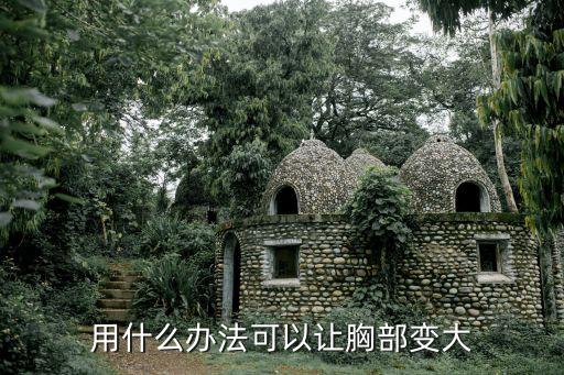 如何能讓胸變大，用什么辦法可以讓胸部變大