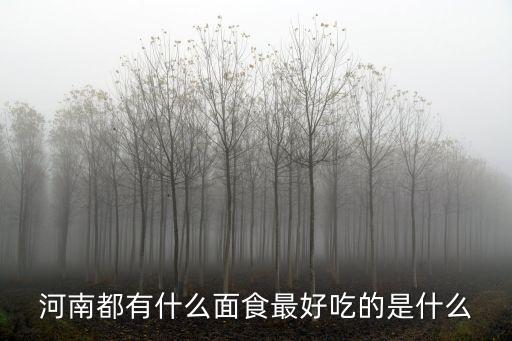 河南都有什么面食最好吃的是什么