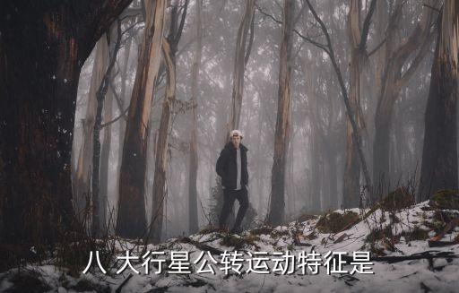 八 大行星公轉(zhuǎn)運動特征是