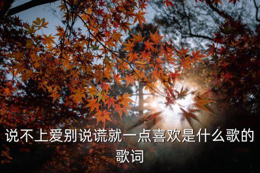 說不上愛別說謊就一點喜歡是什么歌的歌詞