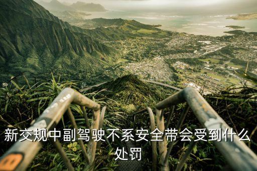新交規(guī)中副駕駛不系安全帶會(huì)受到什么處罰