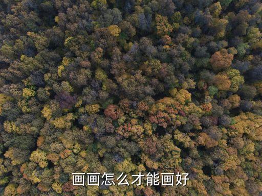 畫畫怎么才能畫好