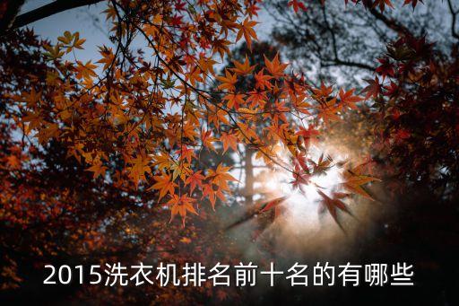 2015洗衣機排名前十名的有哪些