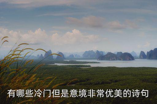 有哪些冷門但是意境非常優(yōu)美的詩(shī)句