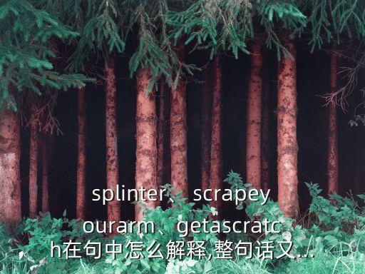 splinter、 scrapeyourarm、getascratch在句中怎么解釋,整句話又...