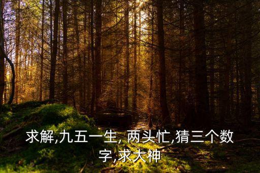 兩頭忙,猜三個數!
