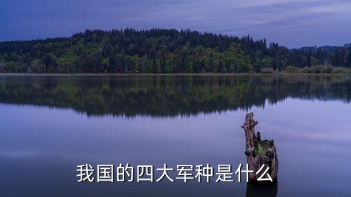 我國的四大軍種是什么